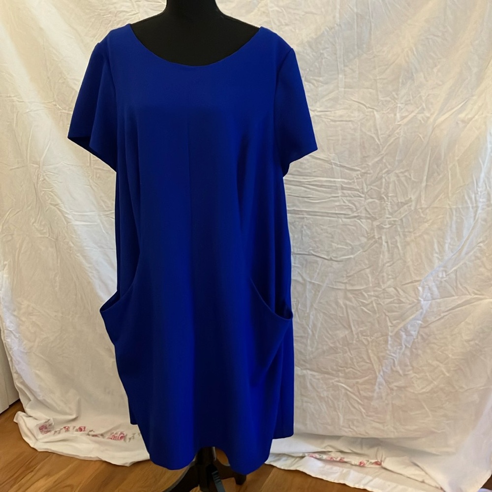 Eliza J Royal Blue Shift Dress